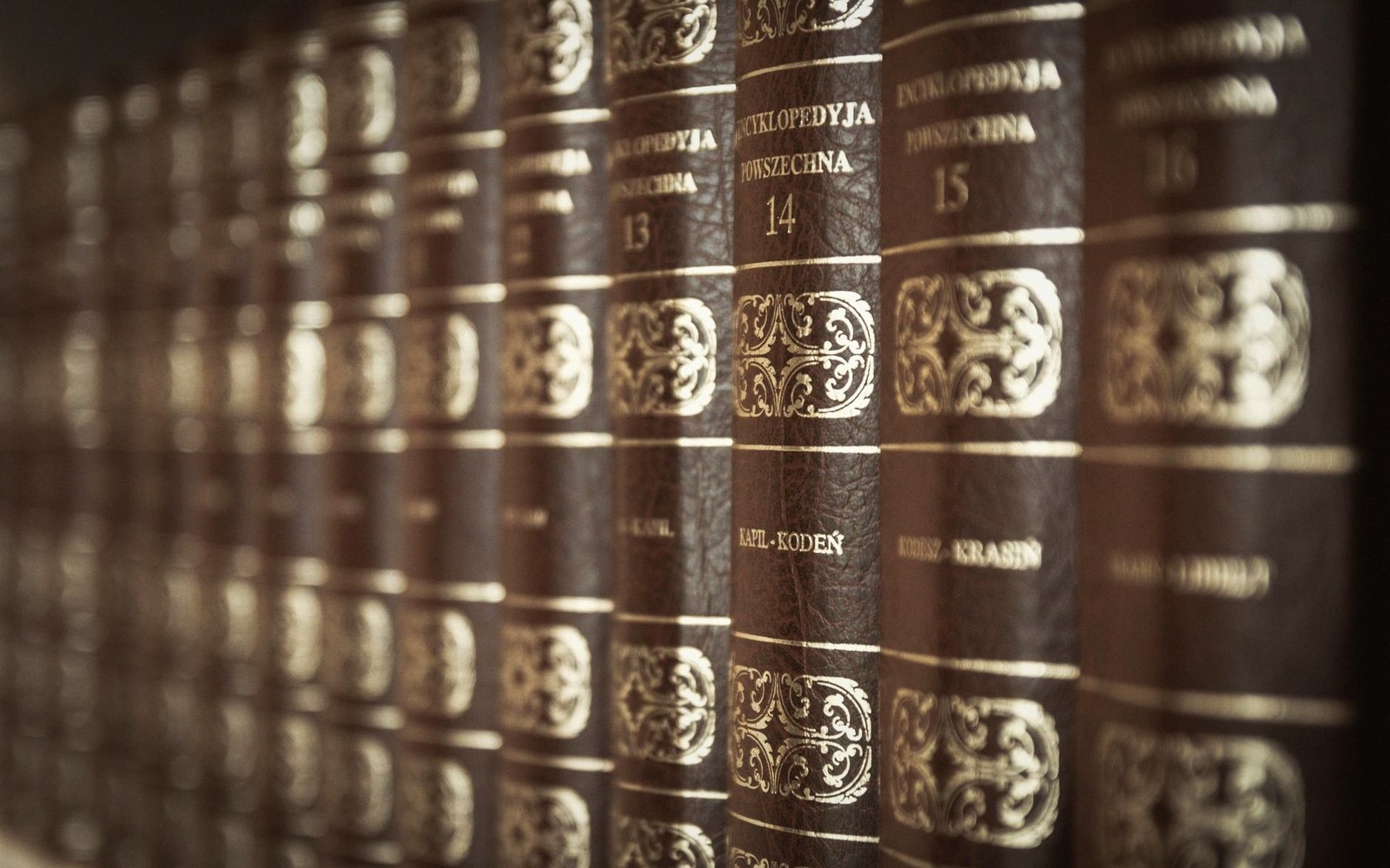 A shelf of printed reference books, spines worn